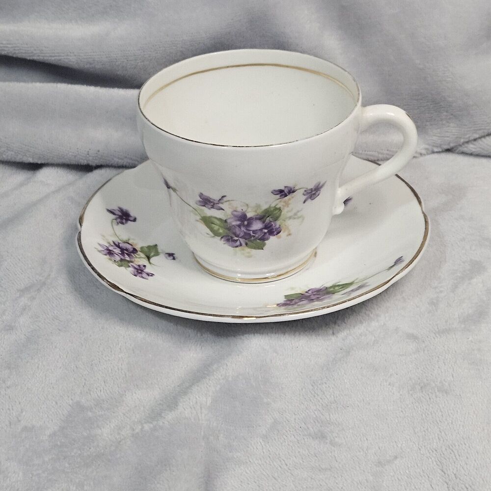 Stanley Bone China Violets w/ Gold Trim Tea Cup & Saucer Made In England